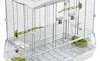 What Cage Should I Buy for My Parakeet?