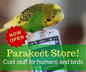 Parakeet store outlet